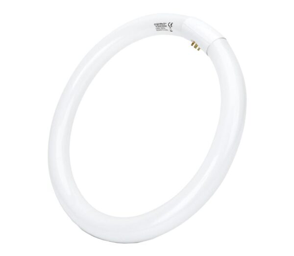 B.V. LED Fénycső T9 G24q