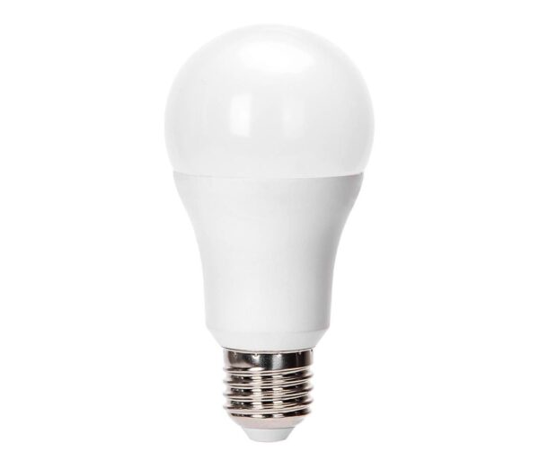 B.V. LED Izzó A60 E27/24W/230V 6500K