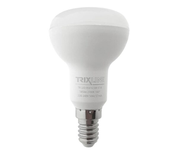 LED Izzó R50 E14/6