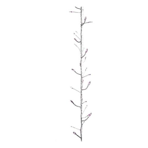 LED Karácsonyi fényfüzér beltéri NANO 100xLED/3xAA 2