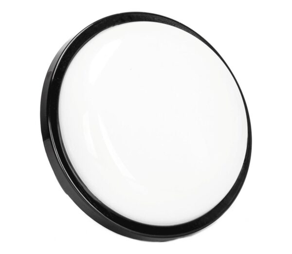 B.V. LED Kültéri fali lámpa LED/15W/230V 6500K átm. 15