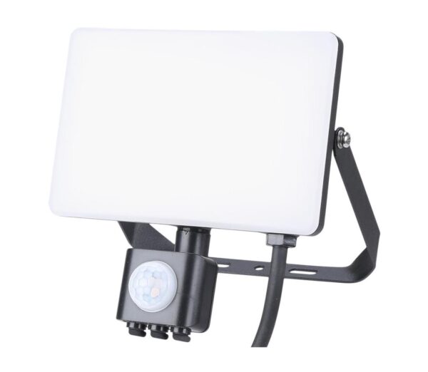 LED Kültéri reflektor érzékelővel LED/30W/230V 5000K IP44