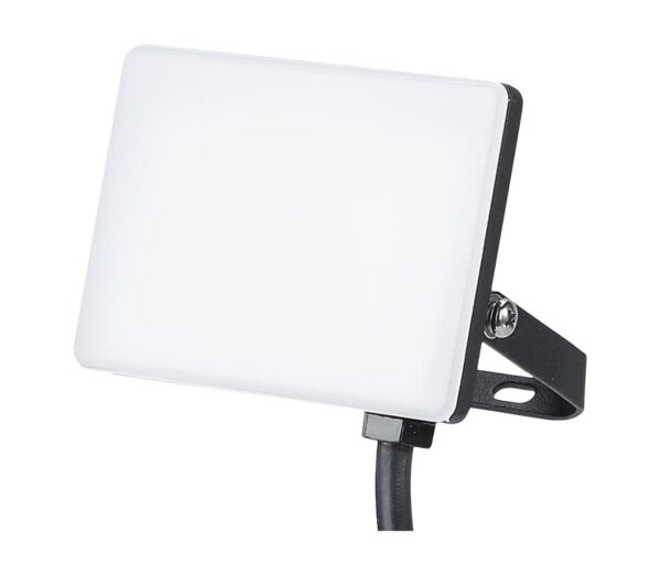 LED Kültéri reflektor LED/10W/230V 5000K IP65