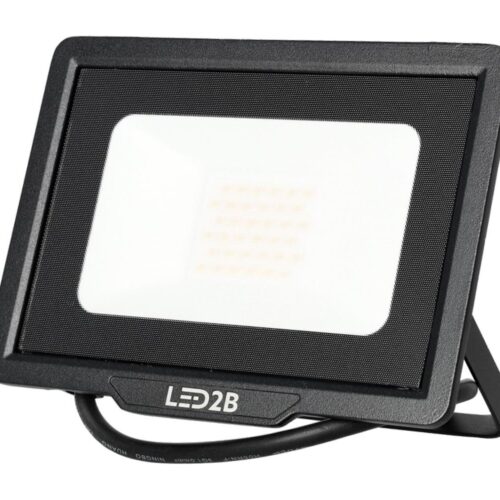 LED Kültéri reflektor LED/30W/230V 6500K IP65