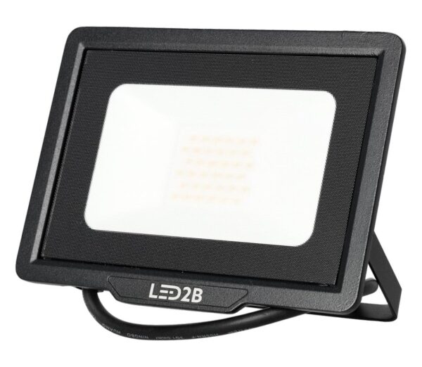 LED Kültéri reflektor LED/30W/230V 6500K IP65