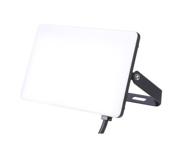 LED Kültéri reflektor LED/50W/230V 5000K IP65