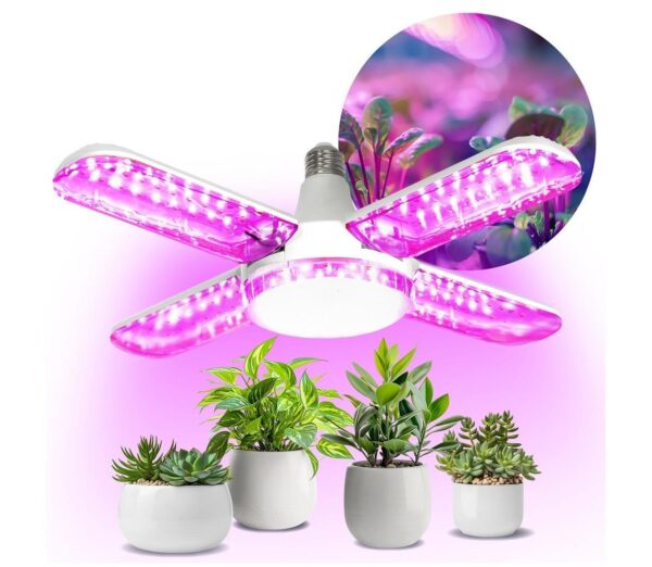 Brilagi LED Növénynevelő izzó VITABLOOM E27/40W/230V 1200K