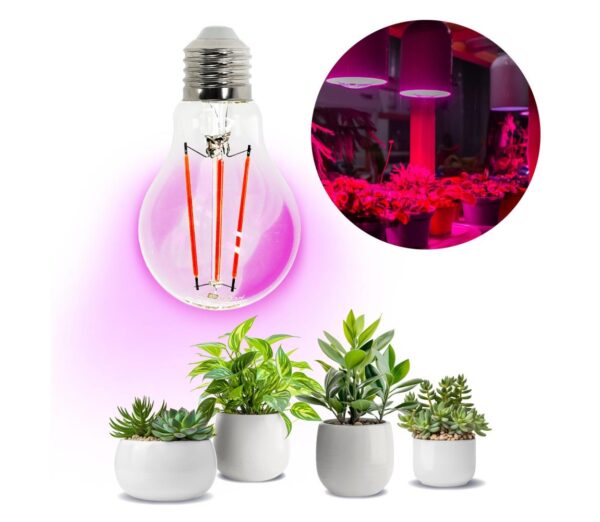Brilagi LED Növénynevelő izzó VITABLOOM E27/8W/230V 1200K
