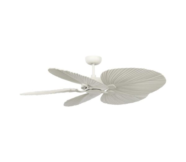 Lucci air Lucci Air 21065449