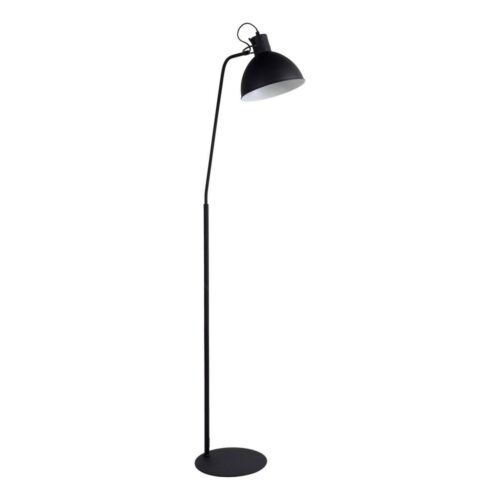 Lucide Lucide 03717/01/30