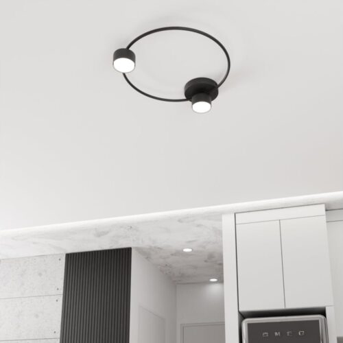 EMIBIG Mennyezeti lámpa LUCIO 2xGX53/12W/230V fekete