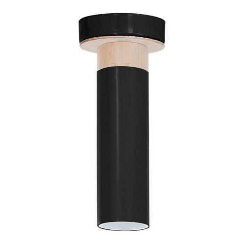 Mennyezeti lámpa PEDRO 1xGU10/25W/230V