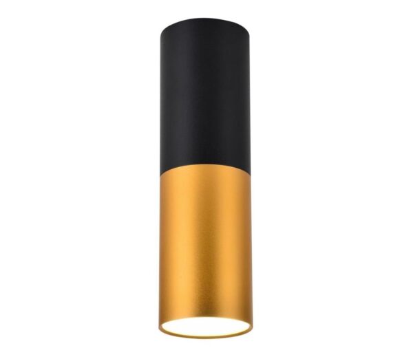 Mennyezeti lámpa TUBA 1xGU10/15W/230V