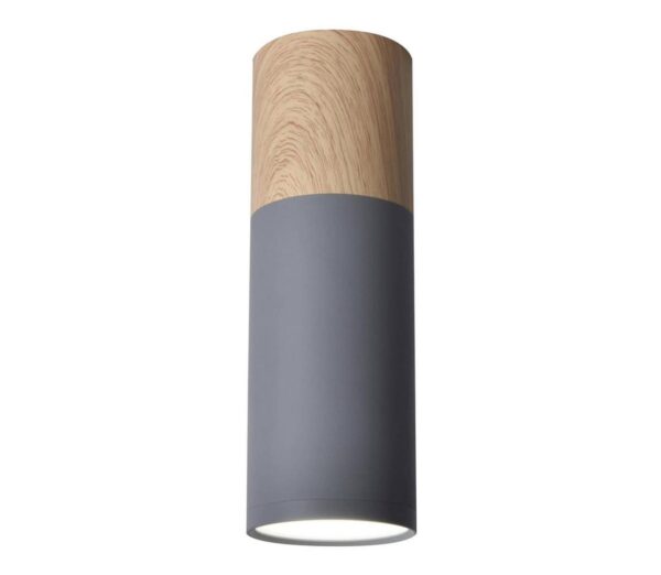 Mennyezeti lámpa TUBA GU10/15W/230V