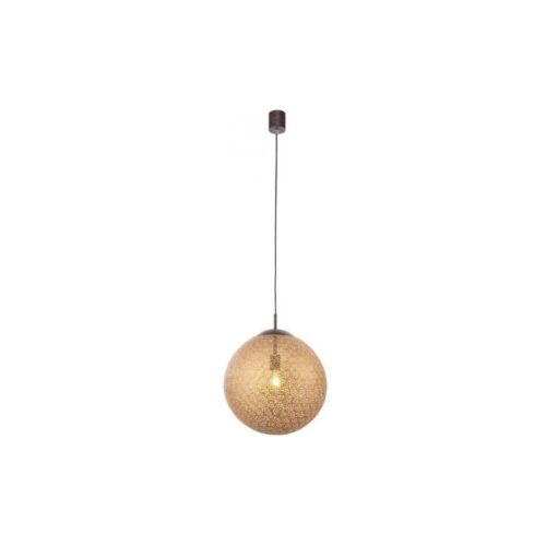 Paul Neuhaus Paul Neuhaus 2421