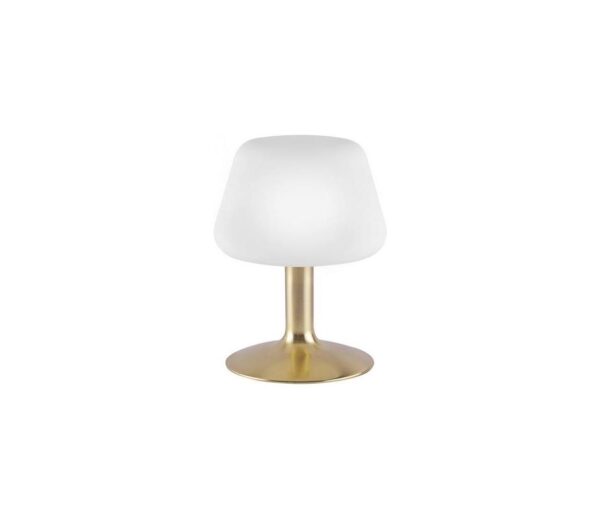 Paul Neuhaus Paul Neuhaus 4078