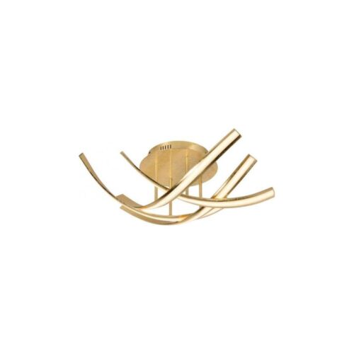 Paul Neuhaus Paul Neuhaus 6474