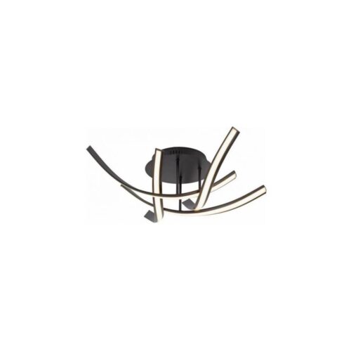 Paul Neuhaus Paul Neuhaus 6474