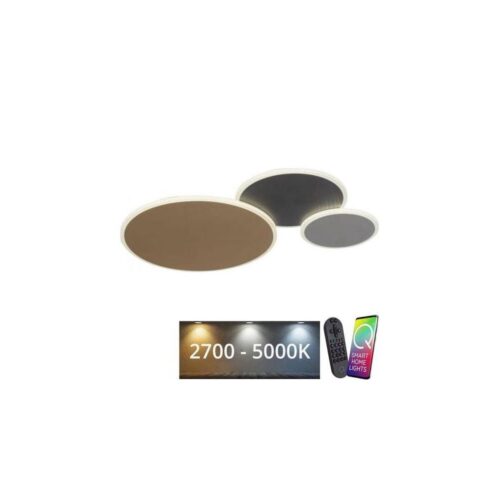 Paul Neuhaus Paul Neuhaus 8007