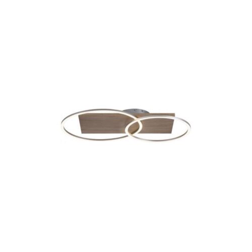 Paul Neuhaus Paul Neuhaus 8329