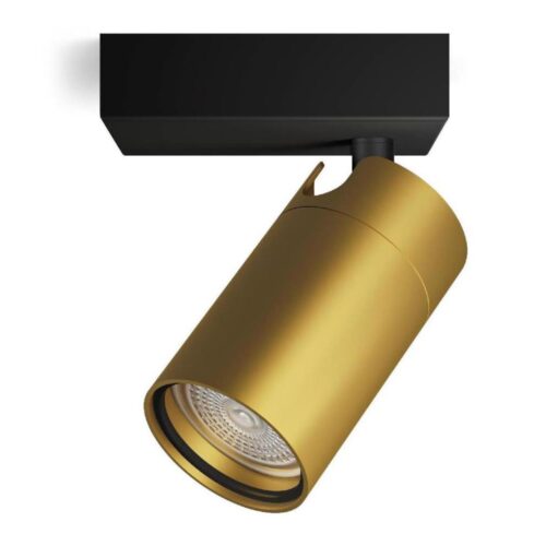 Philips Philips