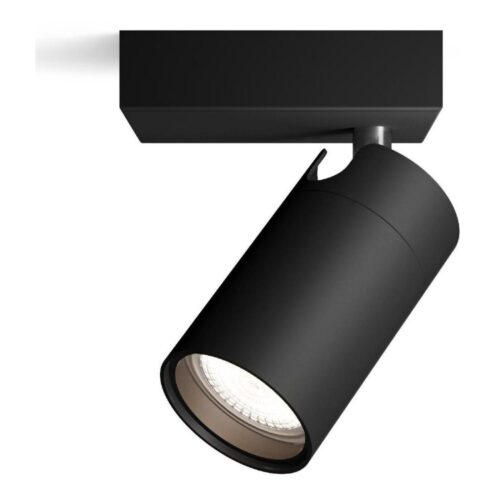 Philips Philips