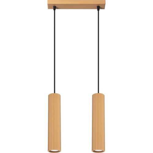 SL.1555