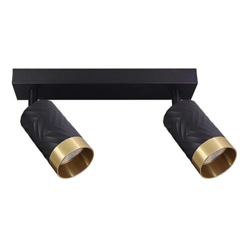 Spotlámpa ARRAS 2xGU10/10W/230V fekete