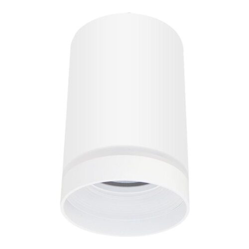 Spotlámpa FABRI 1xGU10/10W/230V fehér