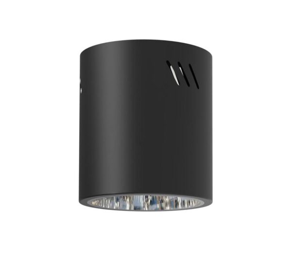 Spotlámpa GEORGE 1xE27/60W/230V átm. 11 cm fekete