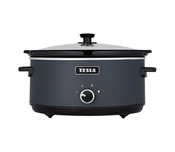 TESLA Electronics TESLA Electronics SlowCook