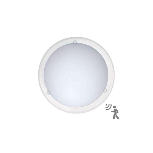 Top Light Top Light