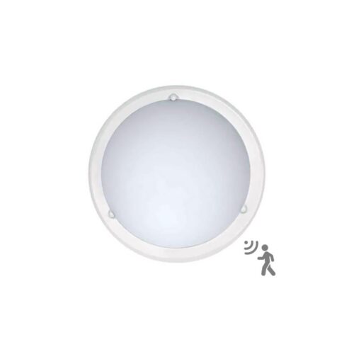 Top Light Top Light