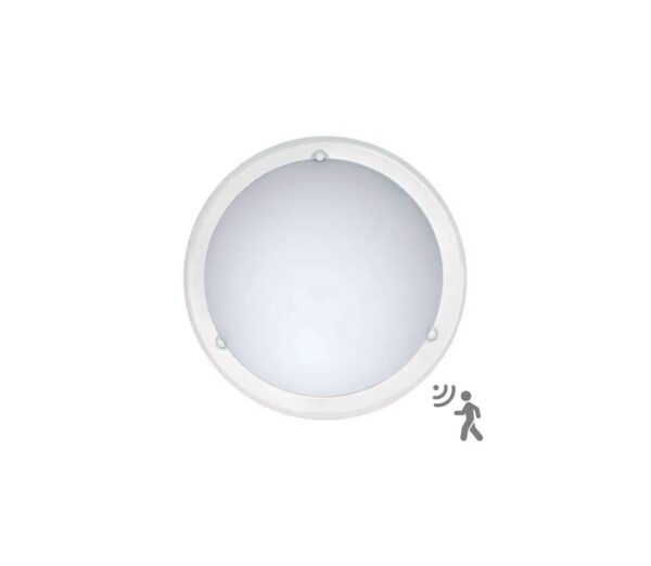 Top Light Top Light