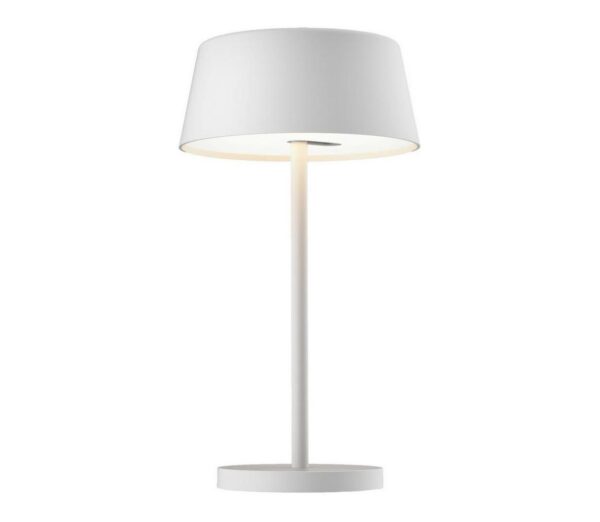 Top Light Top Light