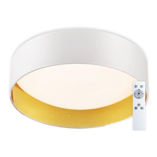 Top Light Top Light
