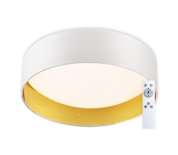 Top Light Top Light