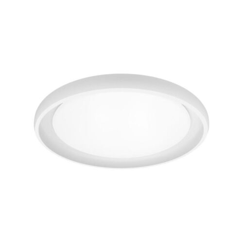 Top Light Top Light