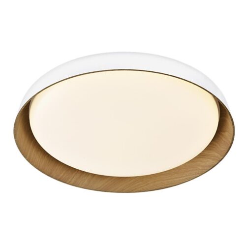 Top Light Top Light