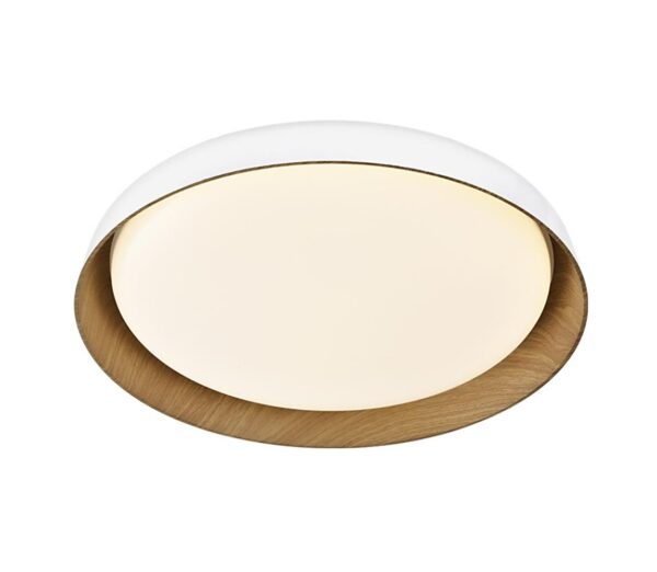 Top Light Top Light