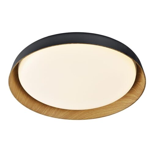Top Light Top Light