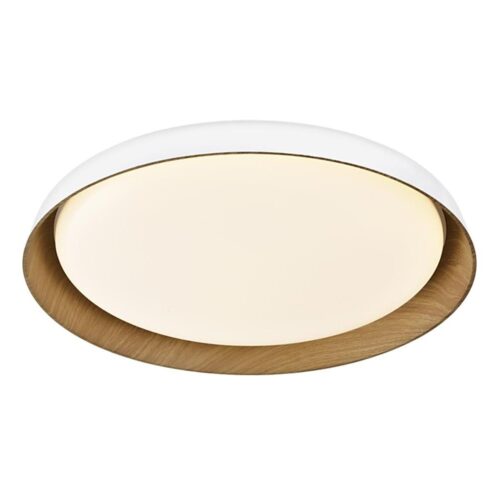 Top Light Top Light