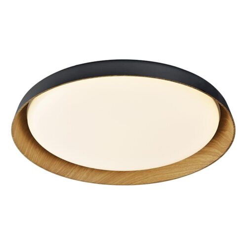 Top Light Top Light