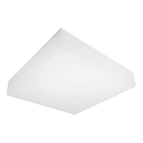 Top Light Top Light