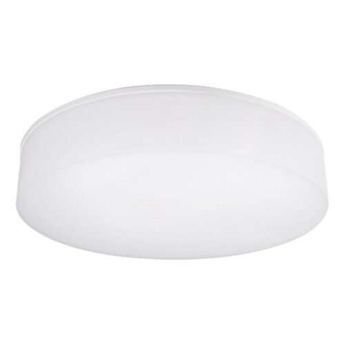 Top Light Top Light