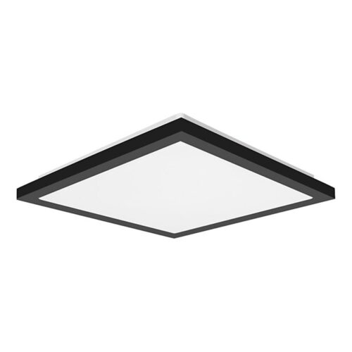 Top Light Top Light