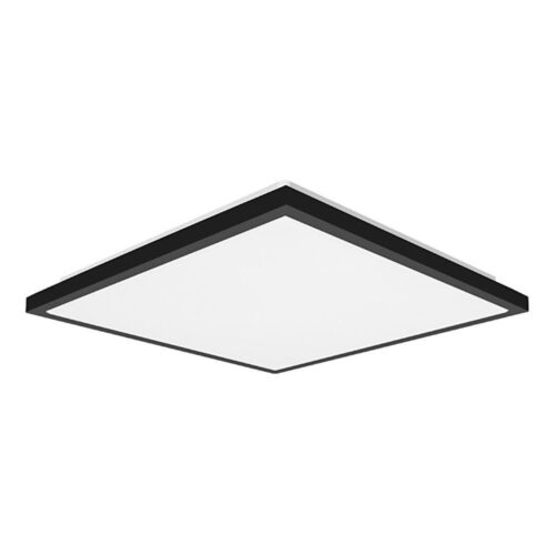 Top Light Top Light