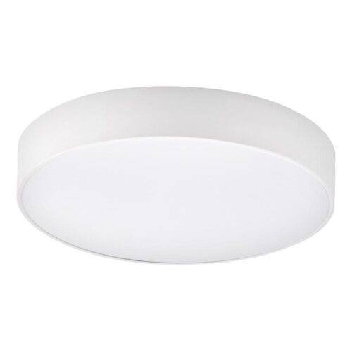 Top Light Top Light