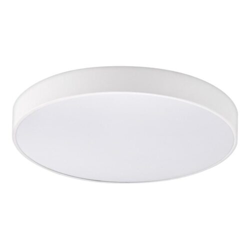 Top Light Top Light