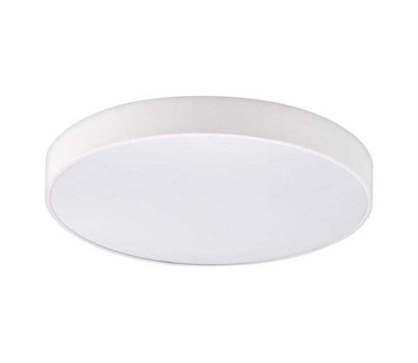 Top Light Top Light